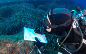 A scuba divers conducting a Fish Visual Census survey 