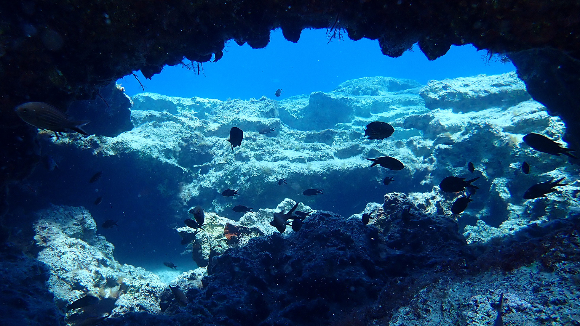 Underwater sea caves in Cavo Greco MPA Cyprus, by Irini Valanto Papageorgiou.