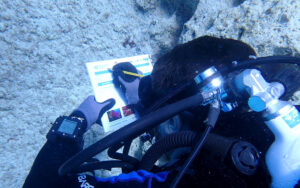Diver implementing one of the protocols underwater.