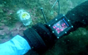 HOBO TidbiT MX temperature data logger installed in Sagres, July 2024 - Photo by CCMAR Scientific Diving Center.