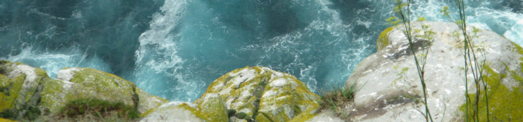 Cliff at Cies Islands, Vigo - Photo by Future Oceans Lab, University of Vigo,