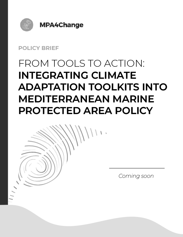 Coastal landscape in the Mediterranean, Croatia