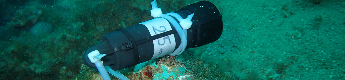Temperature data logger in Brijuni NP - Photo by Silvija Kipson