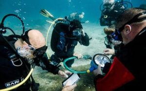 Underwater data collection - Photo by Arkadiusz Srebnik @polanddivingphoto