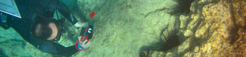 Diver carrying out an underwater visual census