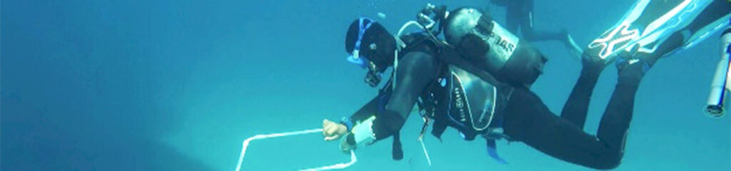 Diver carrying out visual cesnus transect - Photo by DAN Europe.